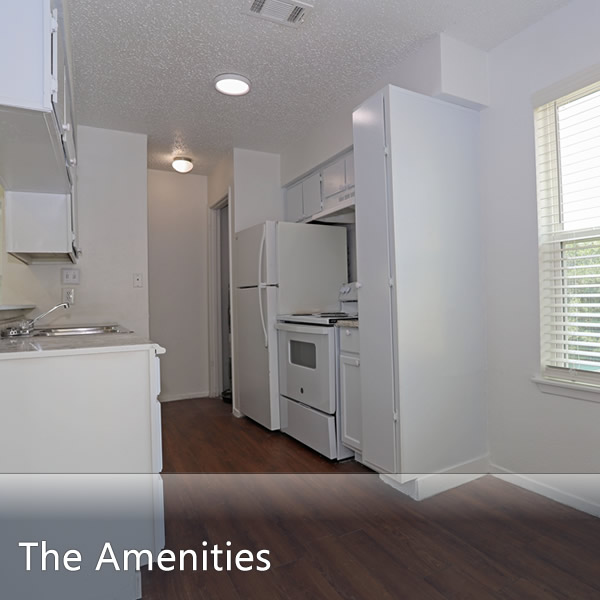 Features and Amenities